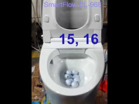 SmartFlow DL-968 Flushes 24 Golf Balls with Ease